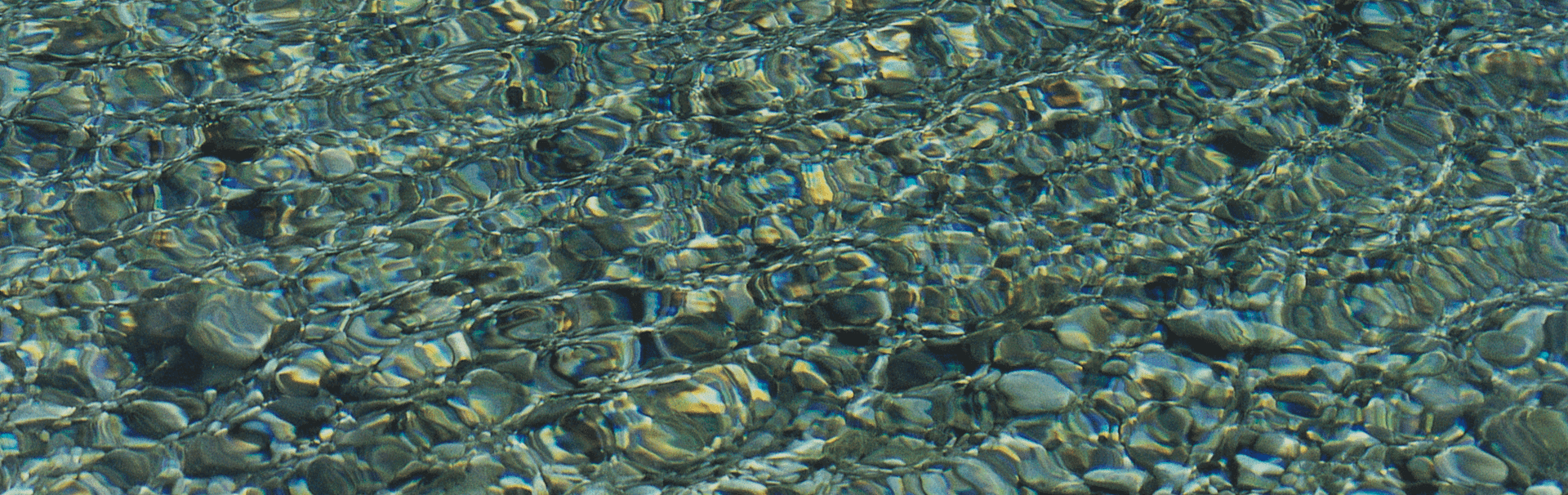 Digitale Vorlage für Grossdia, 31x95cm, 2007